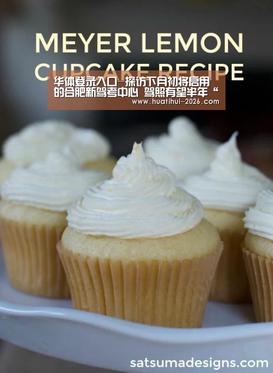 华体登录入口-探访下月初将启用的合肥新驾考中心 驾照有望半年“出炉”(图2) 华体会官网入口